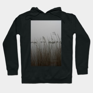 Lakes: mist Hoodie